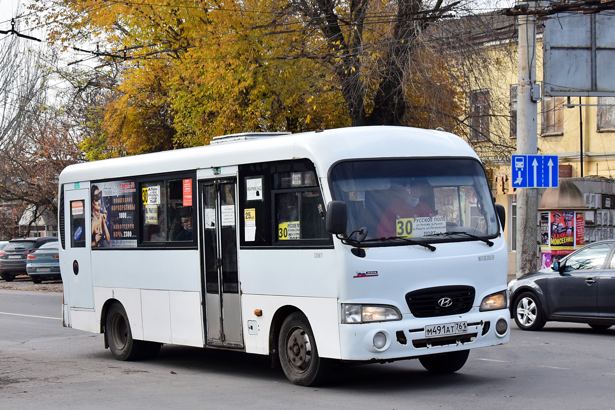 Ростовская область, Hyundai County LWB C11 (ТагАЗ) № М 491 АТ 761