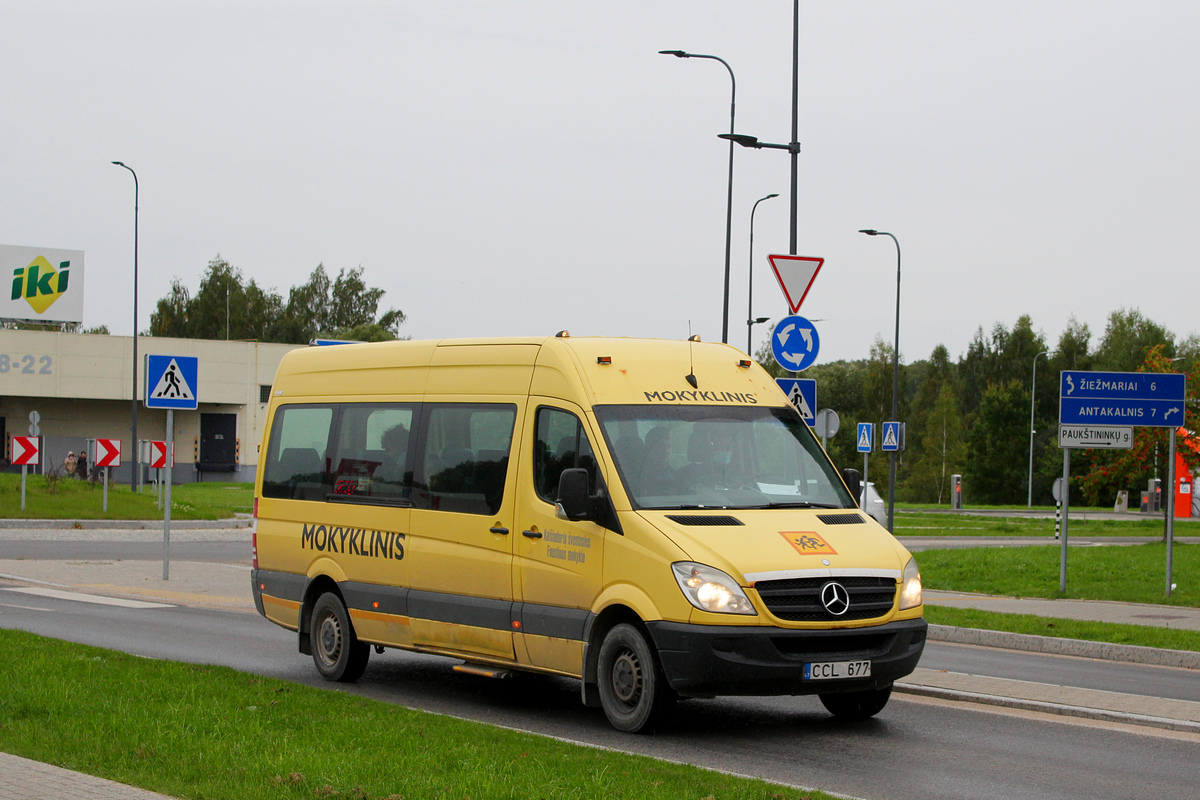 Litva, Altas č. CCL 677