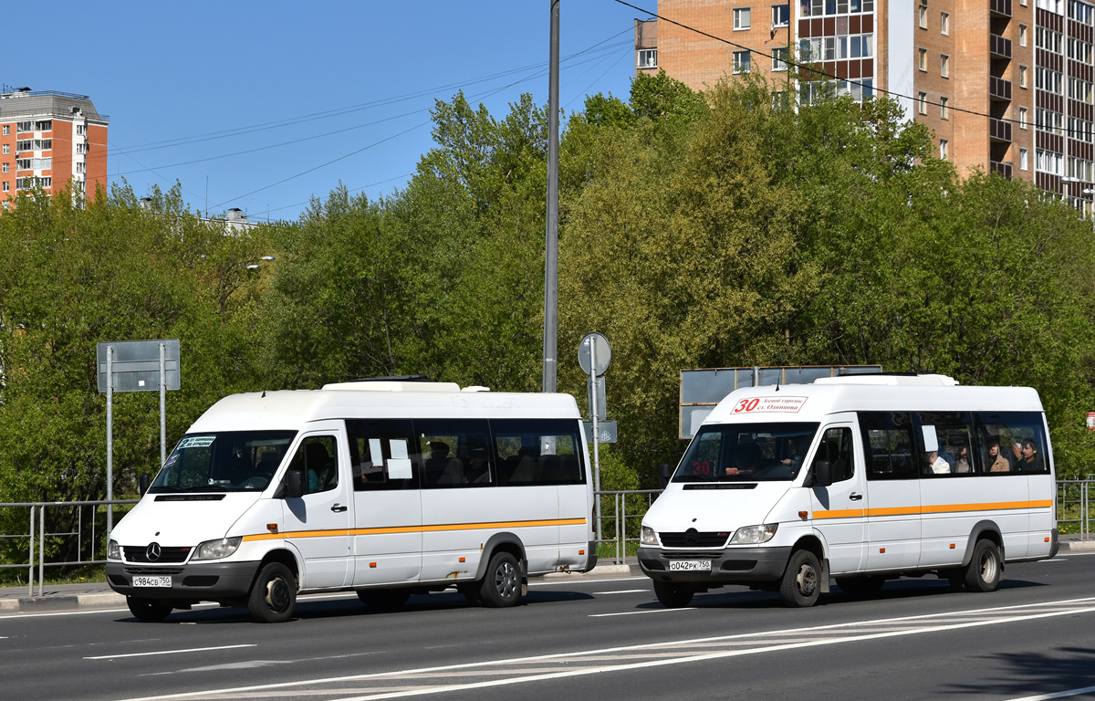 Московская область, Луидор-223237 (MB Sprinter Classic) № С 984 СВ 750; Московская область, Луидор-2232DP (MB Sprinter Classic) № О 042 РК 750