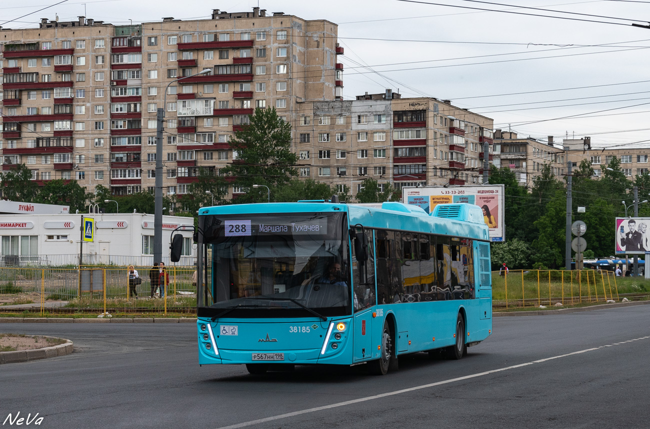 Санкт-Петербург, МАЗ-203.947 № 38185