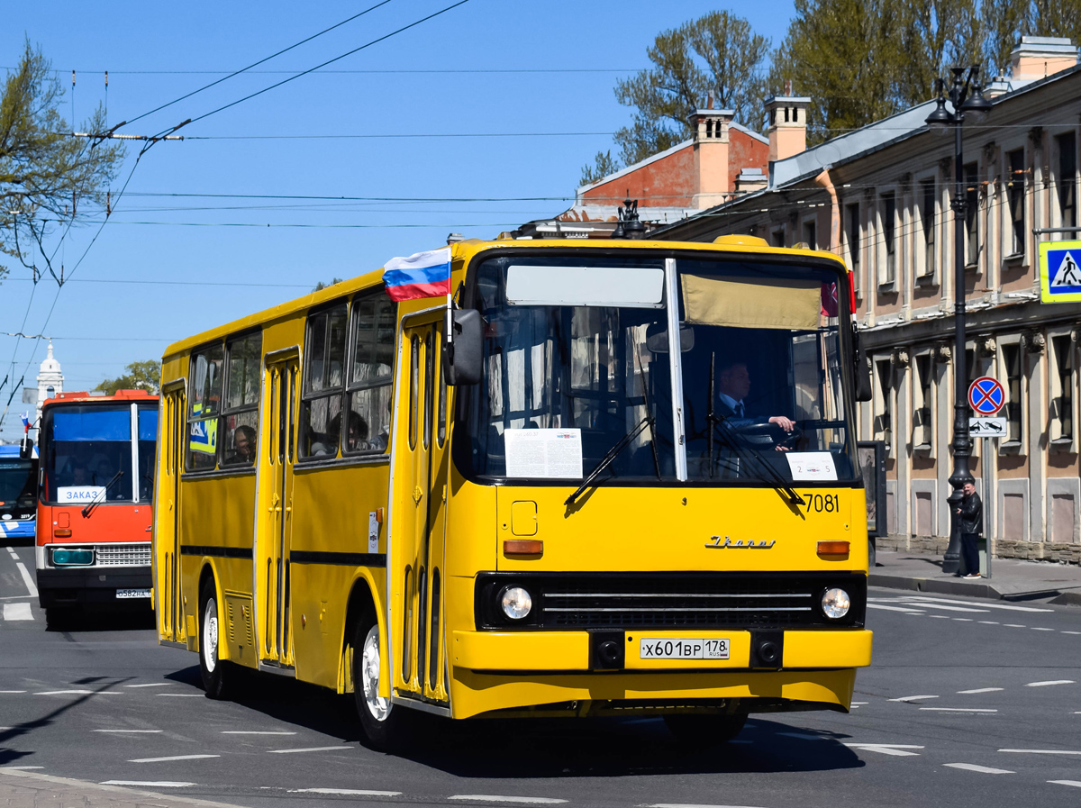 Sankt Petersburg, Ikarus 260.37 Nr 7081; Sankt Petersburg — III International Transport Festival "SPbTransportFest-2022"