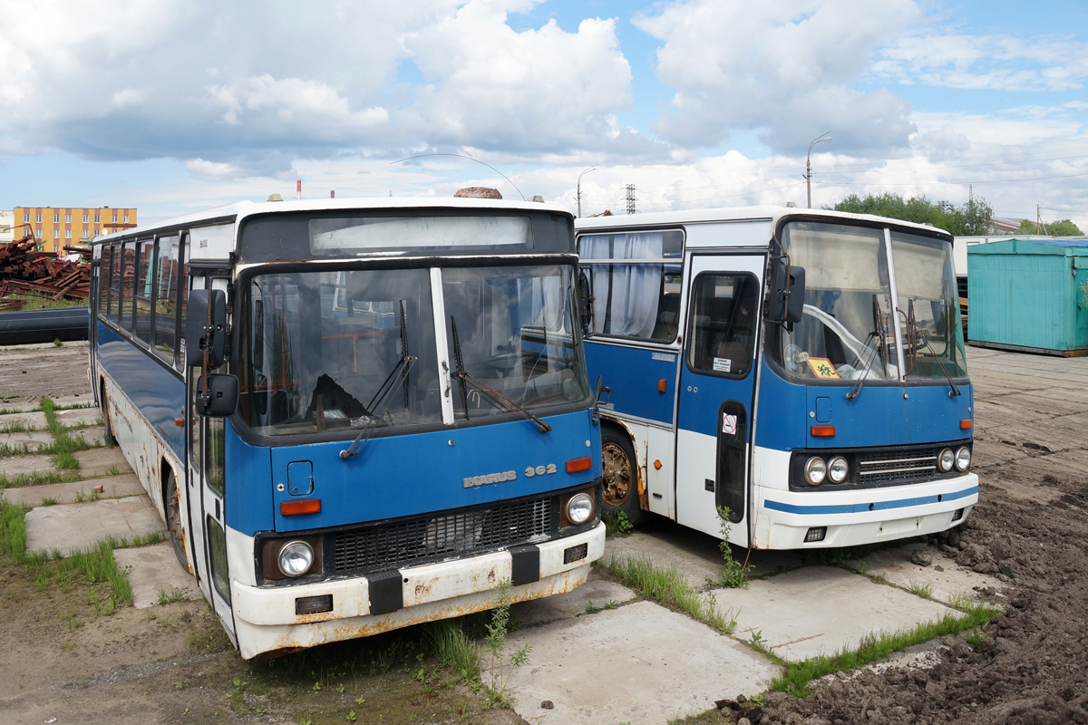 Архангельская область, Ikarus 263.10 № О 954 АН 29