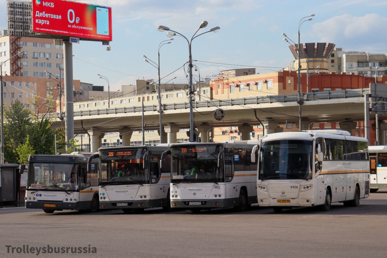 Московская область, ГолАЗ-529115-1x № 023808