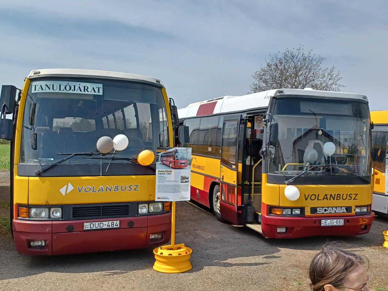 Hungary, Ikarus 350.08 # DUD-484; Hungary, Ikarus EAG 395/E95.12 # EJG-660; Hungary — 1. Volánbusz Retro Nap, Hatvan (2022)