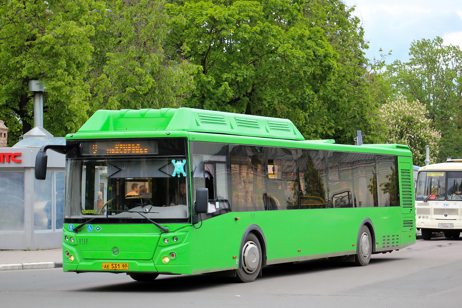 Pszkovi terület, LiAZ-5292.67 (CNG) sz.: 191