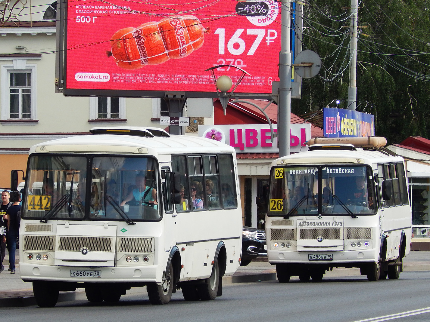 Томская область, ПАЗ-320540-12 № К 660 УЕ 70; Томская область, ПАЗ-32054 № Е 486 ЕВ 70