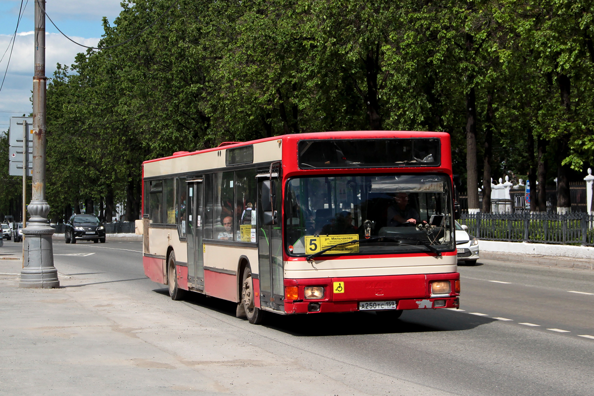 Perm region, MAN A10 NL222 № А 250 ТС 159