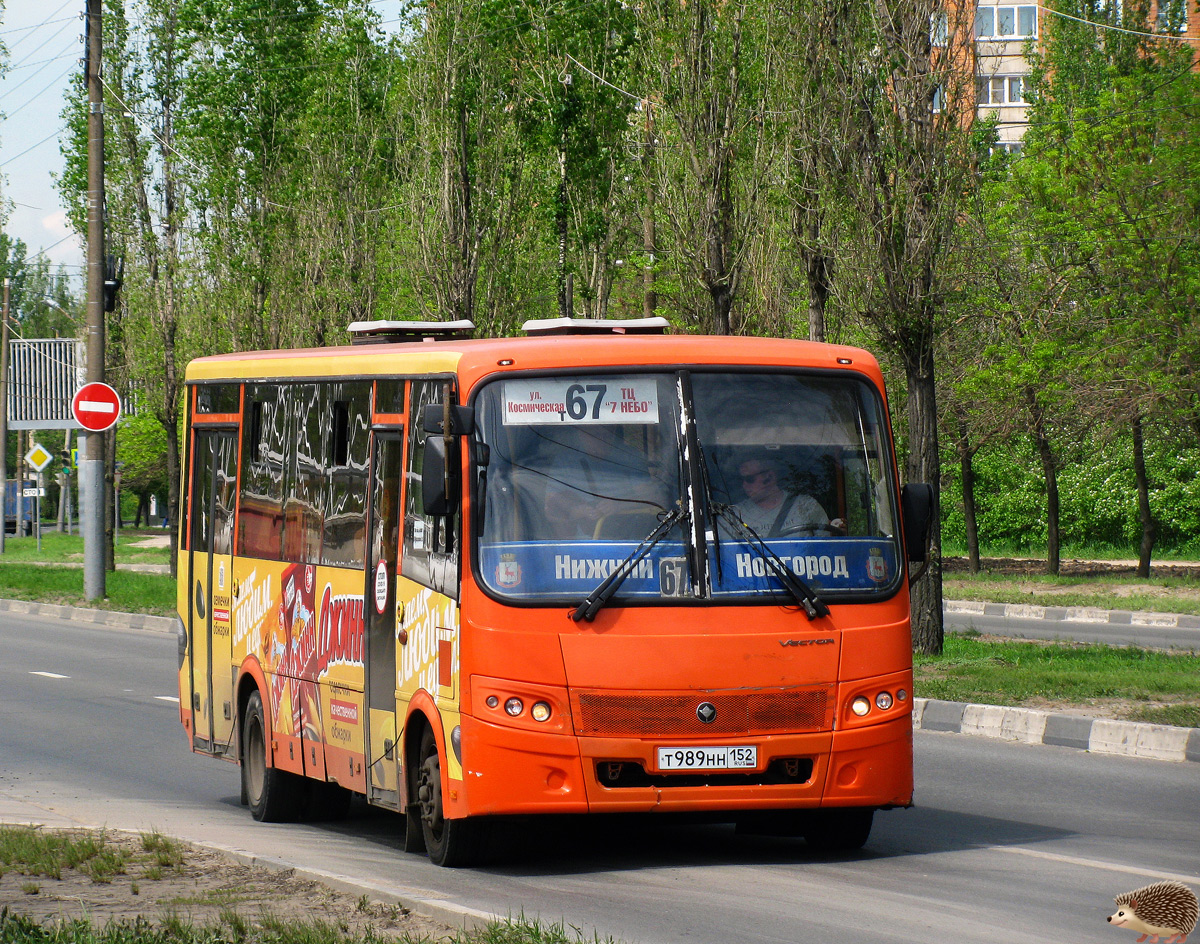 Нижегородская область, ПАЗ-320414-05 "Вектор" № Т 989 НН 152