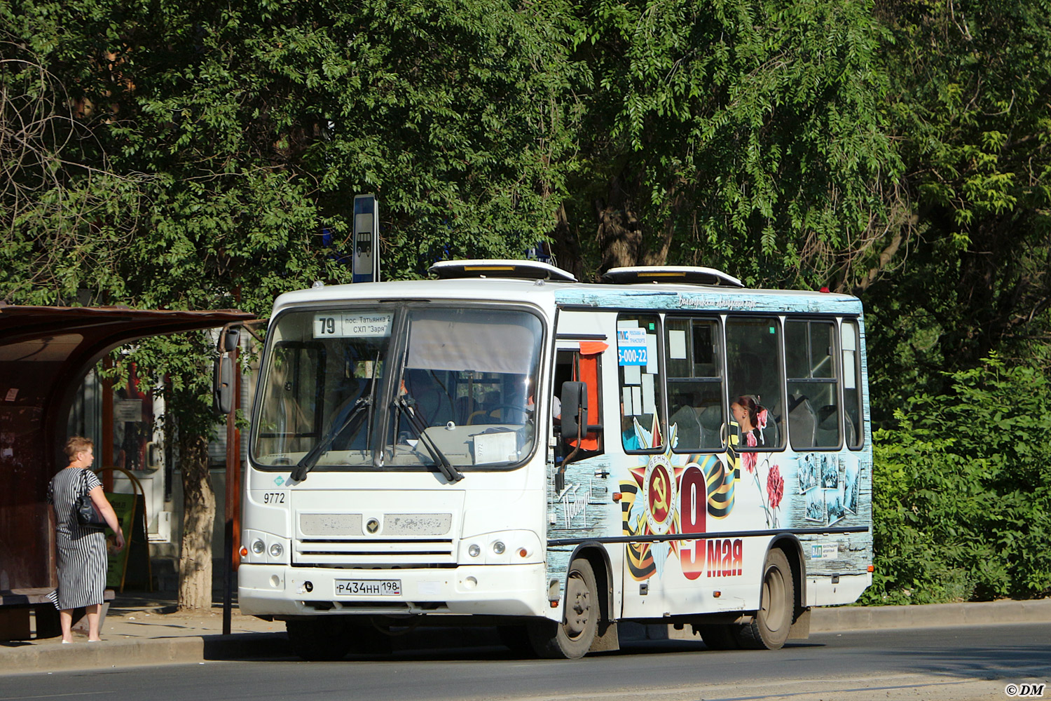 Волгоградская область, ПАЗ-320302-11 № 9772