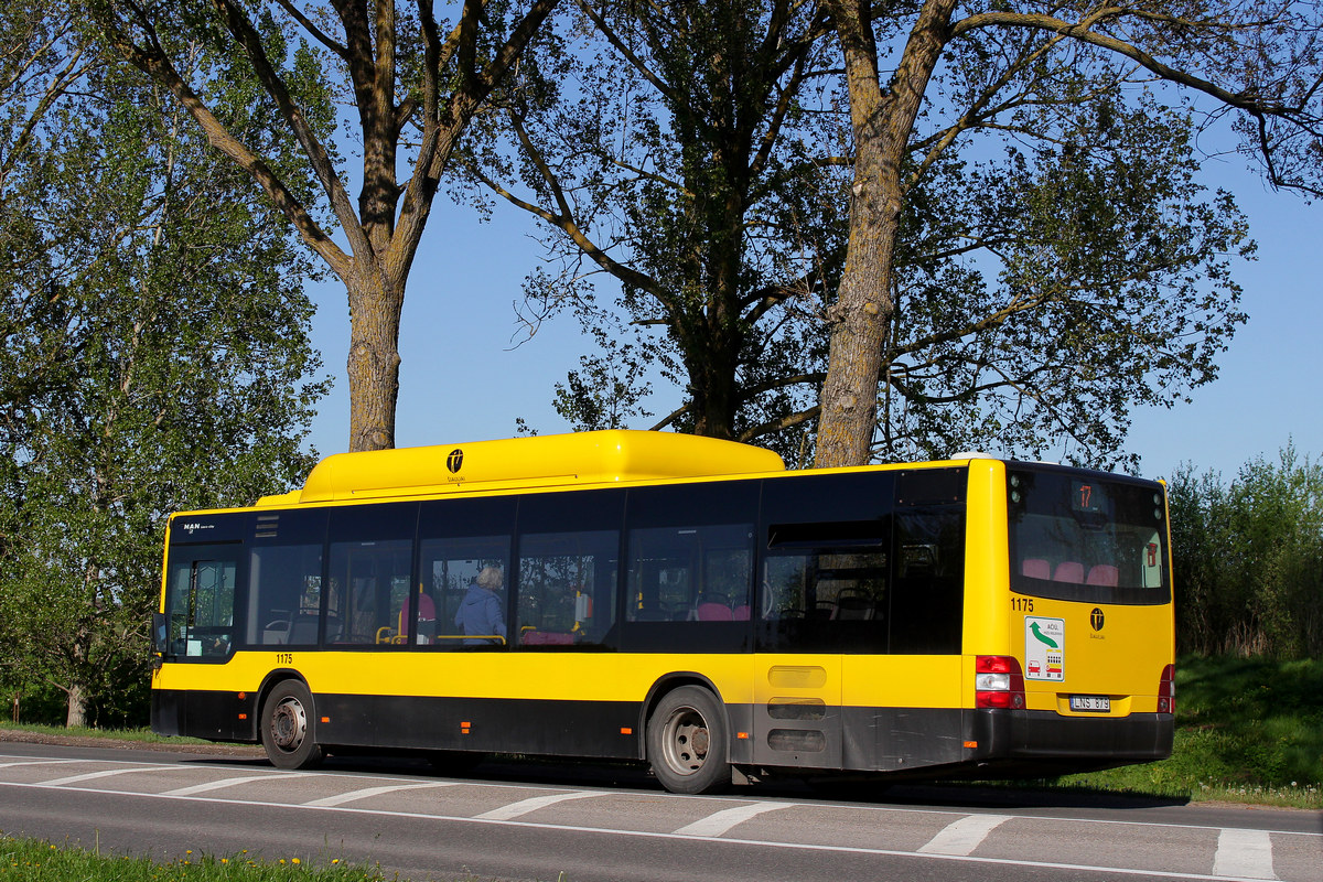 Litvánia, MAN A21 Lion's City NL243 CNG sz.: 1175