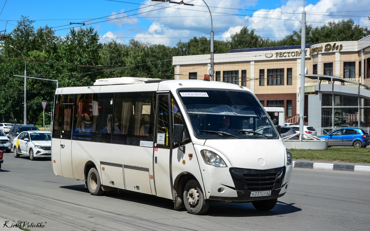 Новосибирская область, Неман-420224-11 № Х 231 СР 62