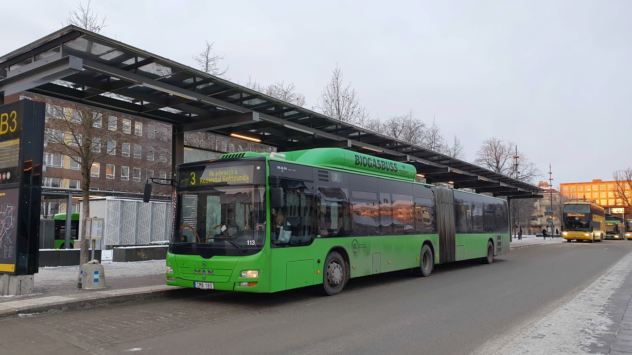 Швеция, MAN A23 Lion's City G NG313 CNG № 113