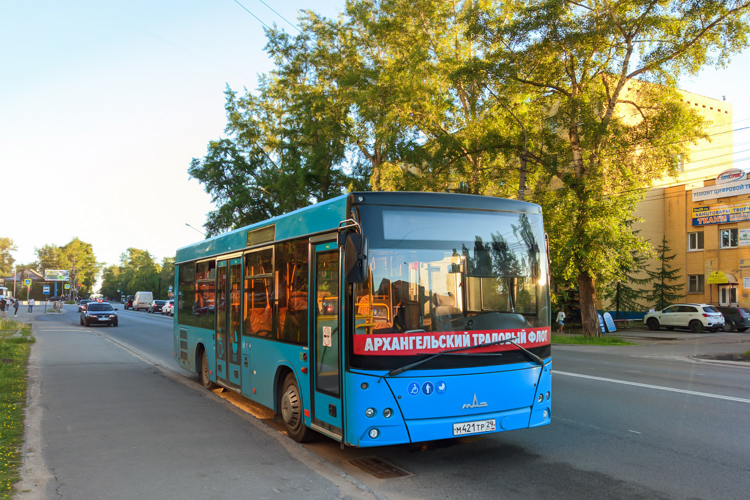 Архангельская область, МАЗ-206.086 № М 421 ТР 29