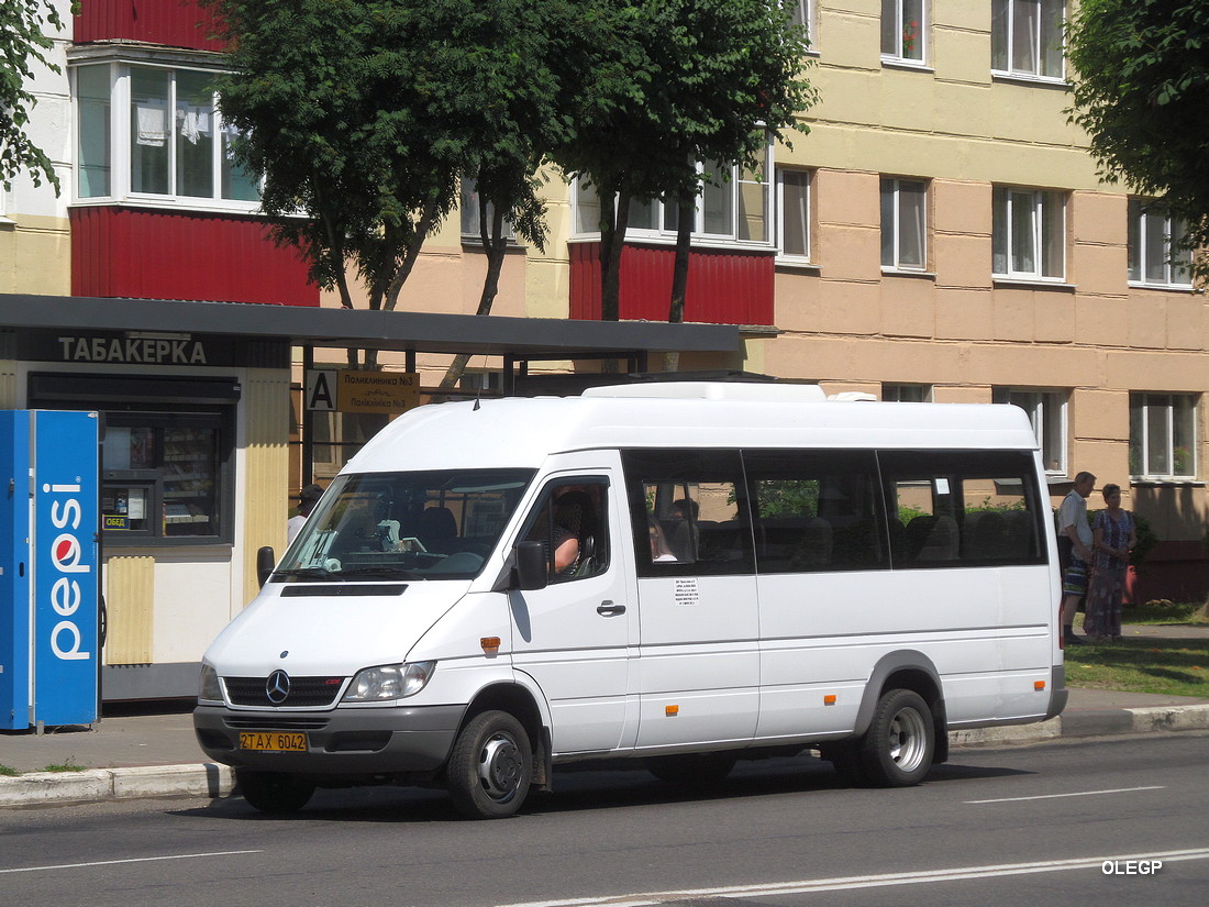 Витебская область, Луидор-223237 (MB Sprinter Classic) № 2 ТАХ 6042