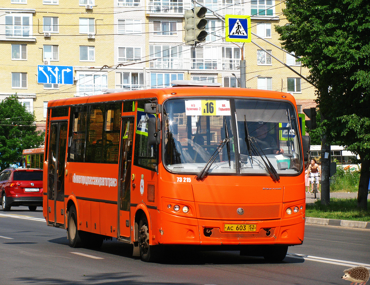 Нижегородская область, ПАЗ-320414-05 "Вектор" (1-2) № 73215