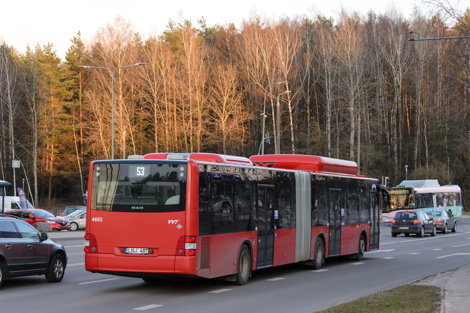 Литва, MAN A23 Lion's City G NG313 CNG № 4602
