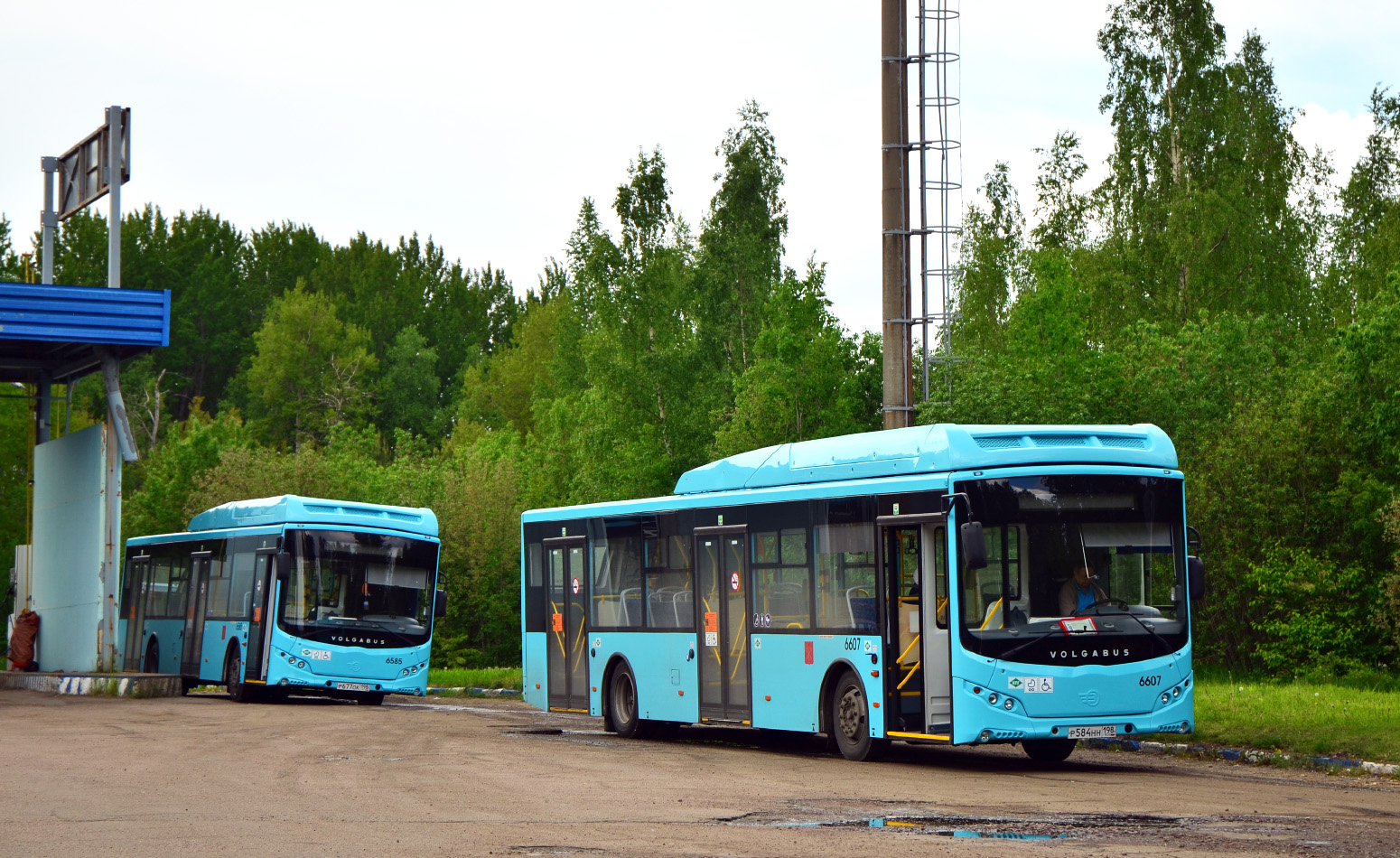 Санкт-Петербург, Volgabus-5270.G4 (CNG) № 6607