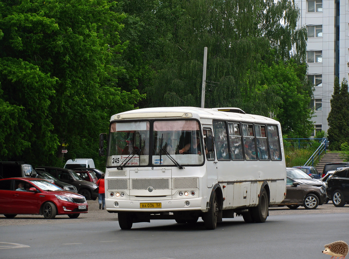 Нижегородская область, ПАЗ-4234-04 № ВА 036 52