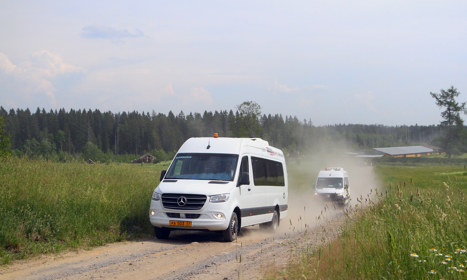 Санкт-Петербург, Луидор-223685 (MB Sprinter) № РА 503 77