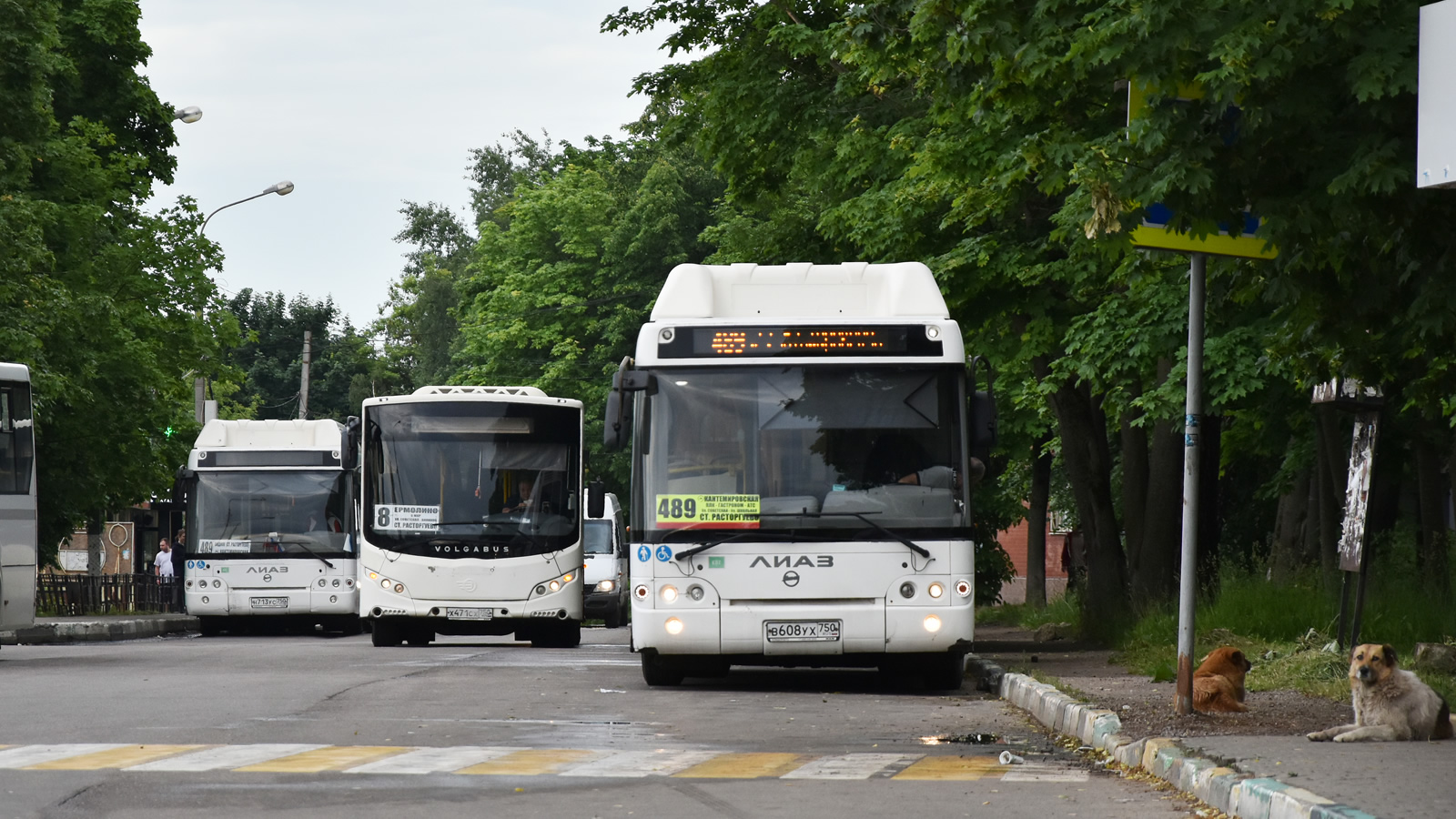 Moskauer Gebiet — Bus stations, terminal stations and stops