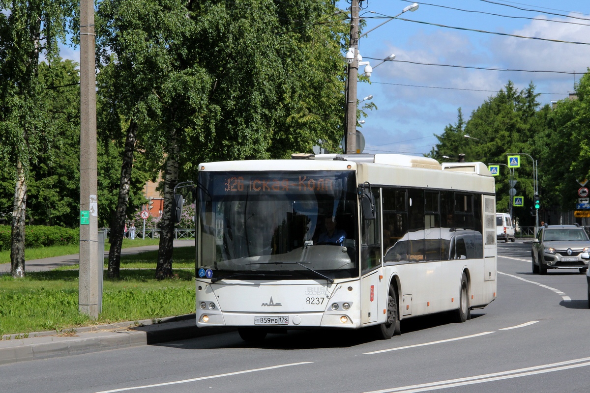 Санкт-Петербург, МАЗ-203.085 № 8237