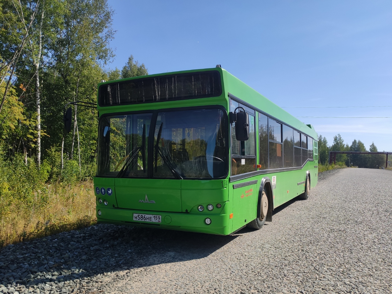 Пермский край, МАЗ-103.486 № 174