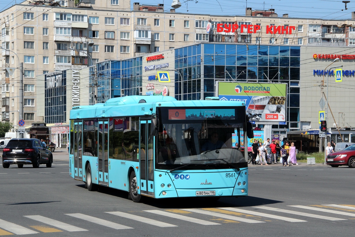 Санкт-Петербург, МАЗ-203.016 № 8561