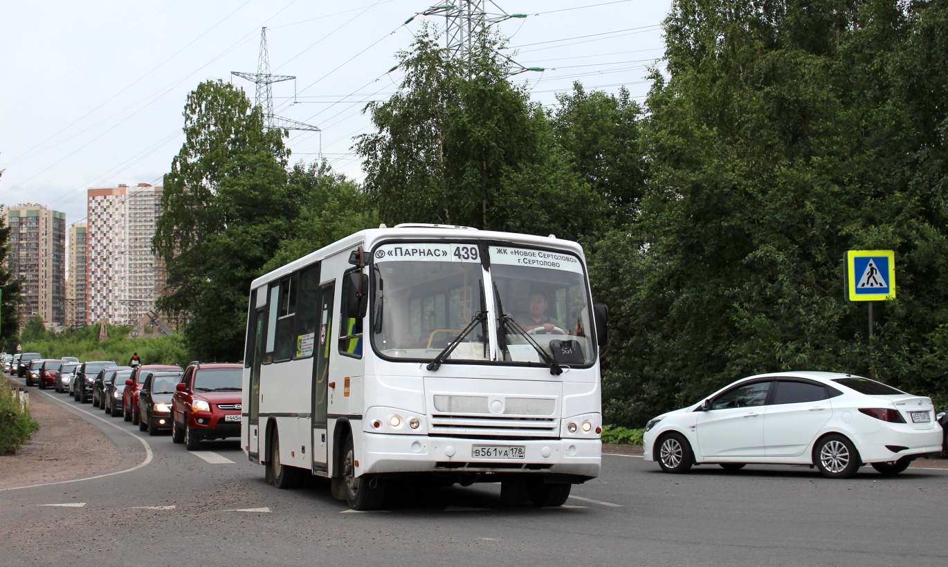 Ленинградская область, ПАЗ-320402-05 № 52