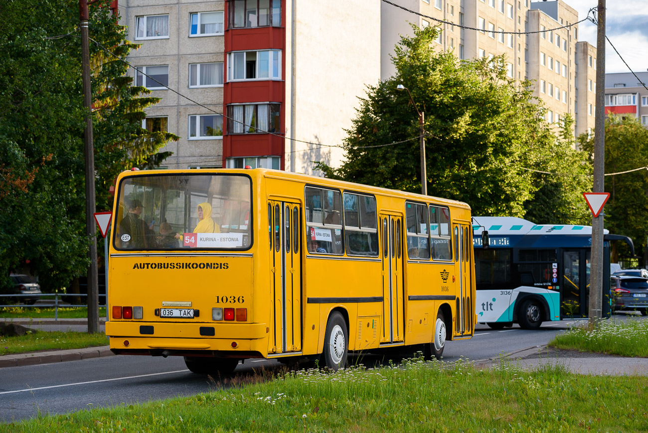 Эстония, Ikarus 260.37 № 1036