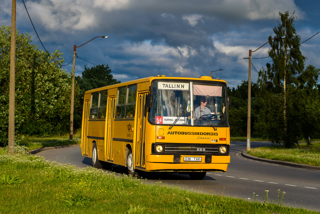 Эстония, Ikarus 260.37 № 1036