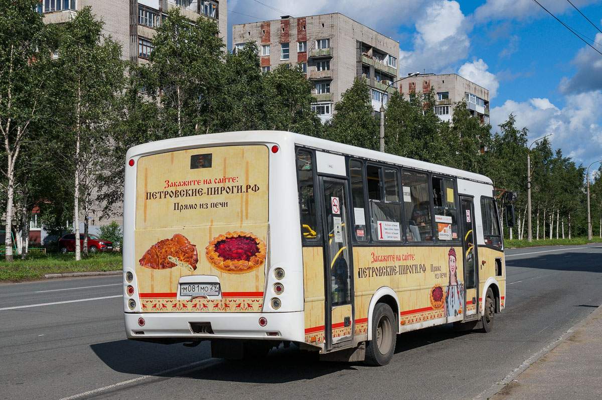 Архангельская область, ПАЗ-320412-04 "Вектор" № М 081 МО 29