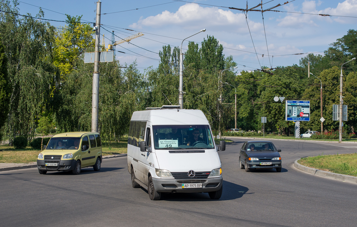 Запорожская область, Mercedes-Benz Sprinter W903 313CDI № AP 1975 BP