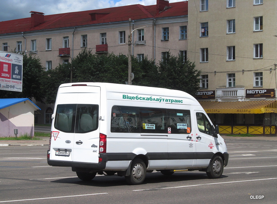 Витебская область, МАЗ-281.040 № АМ 6656-2