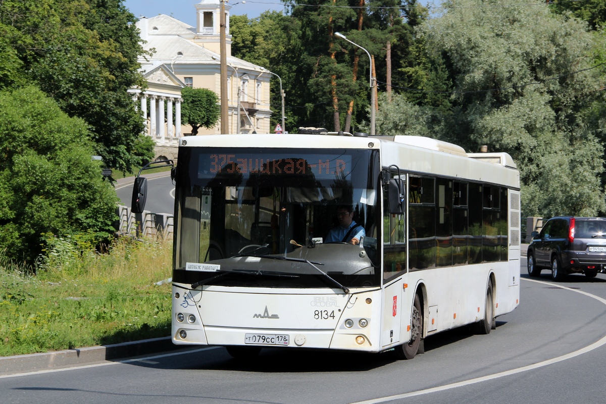 Санкт-Петербург, МАЗ-203.085 № 8134