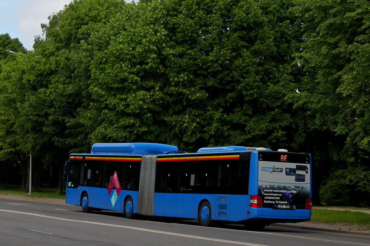 Литва, MAN A23 Lion's City G NG313 CNG № 94