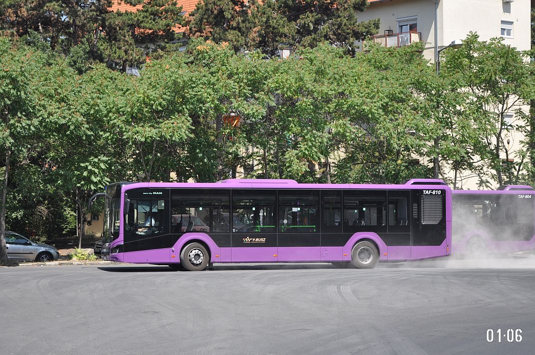 Венгрия, MAN 12C Lion's City 12 NL280 EfficientHybrid № TAF-810