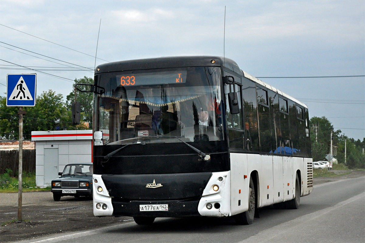 Kemerovo region - Kuzbass, MAZ-231.062 # 100