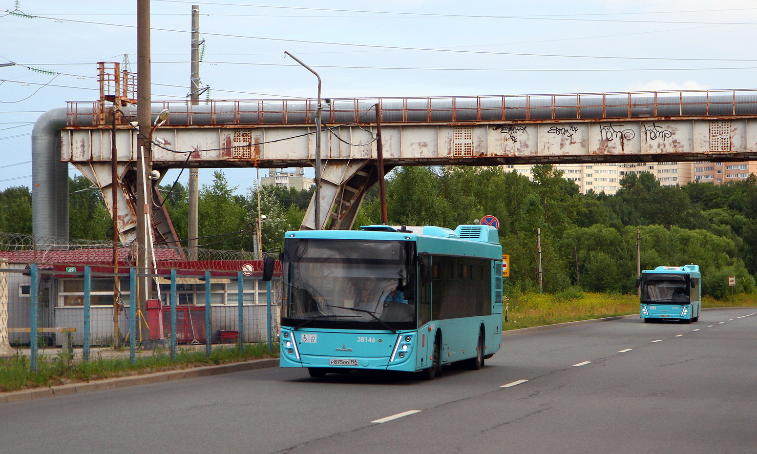 Санкт-Петербург, МАЗ-203.945 № 38146; Санкт-Петербург, МАЗ-203.947 № 38145