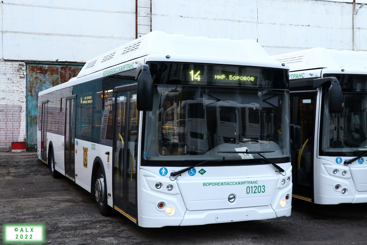 Воронежская область, ЛиАЗ-5292.67 (CNG) № 01203