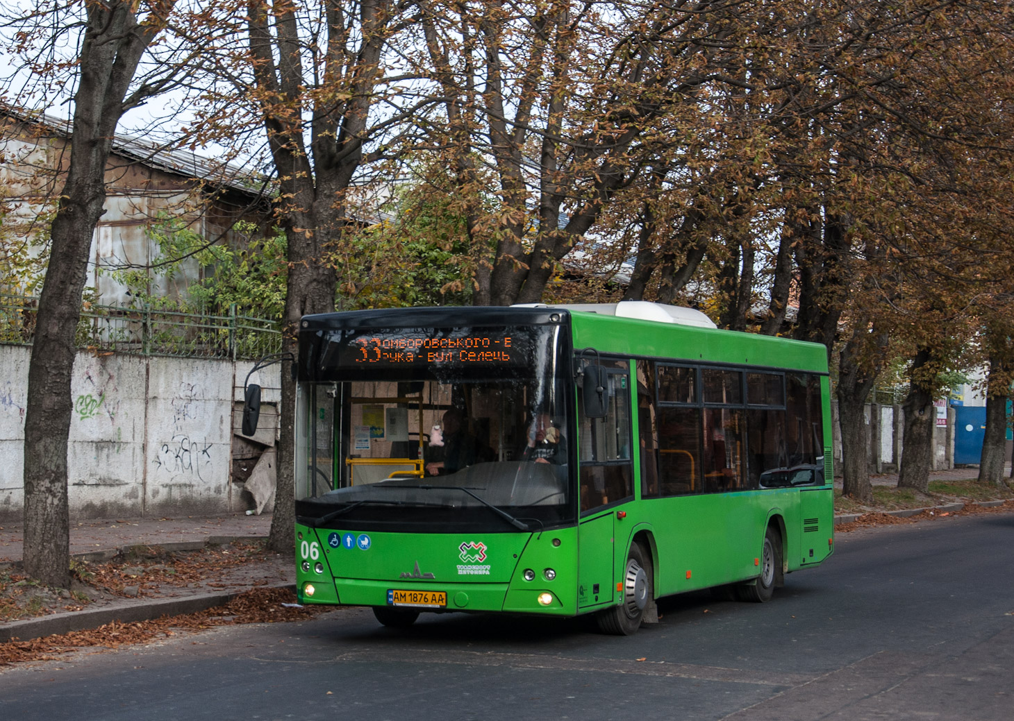 Житомирская область, МАЗ-206.086 № 06