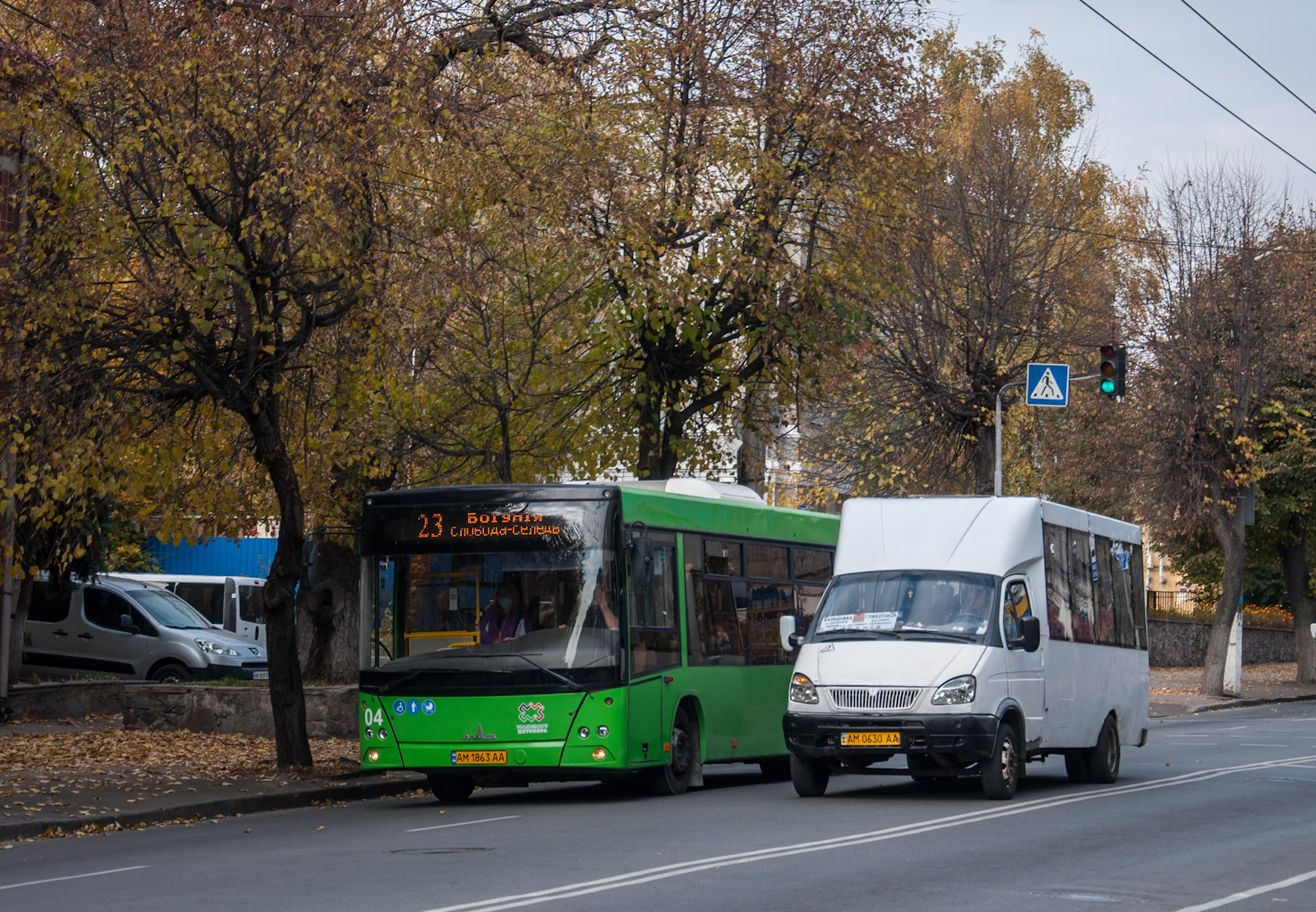 Житомирская область, МАЗ-206.086 № 04; Житомирская область, Рута 20 № AM 0630 AA