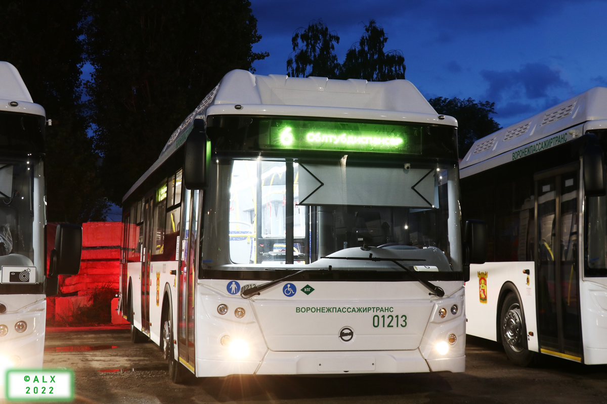 Воронежская область, ЛиАЗ-5292.67 (CNG) № 01213