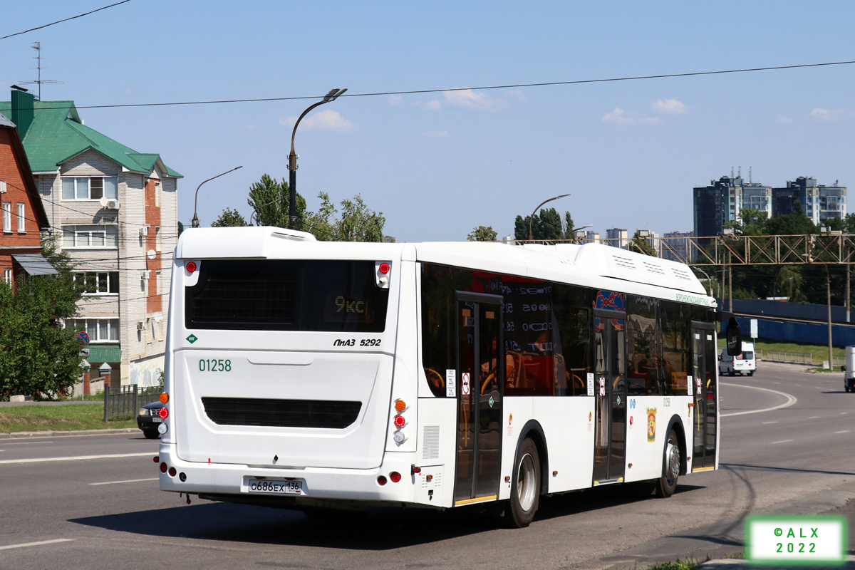 Воронежская область, ЛиАЗ-5292.67 (CNG) № 01258