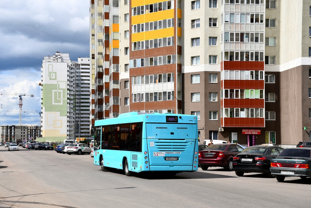 Санкт-Петербург, МАЗ-206.947 № 38373