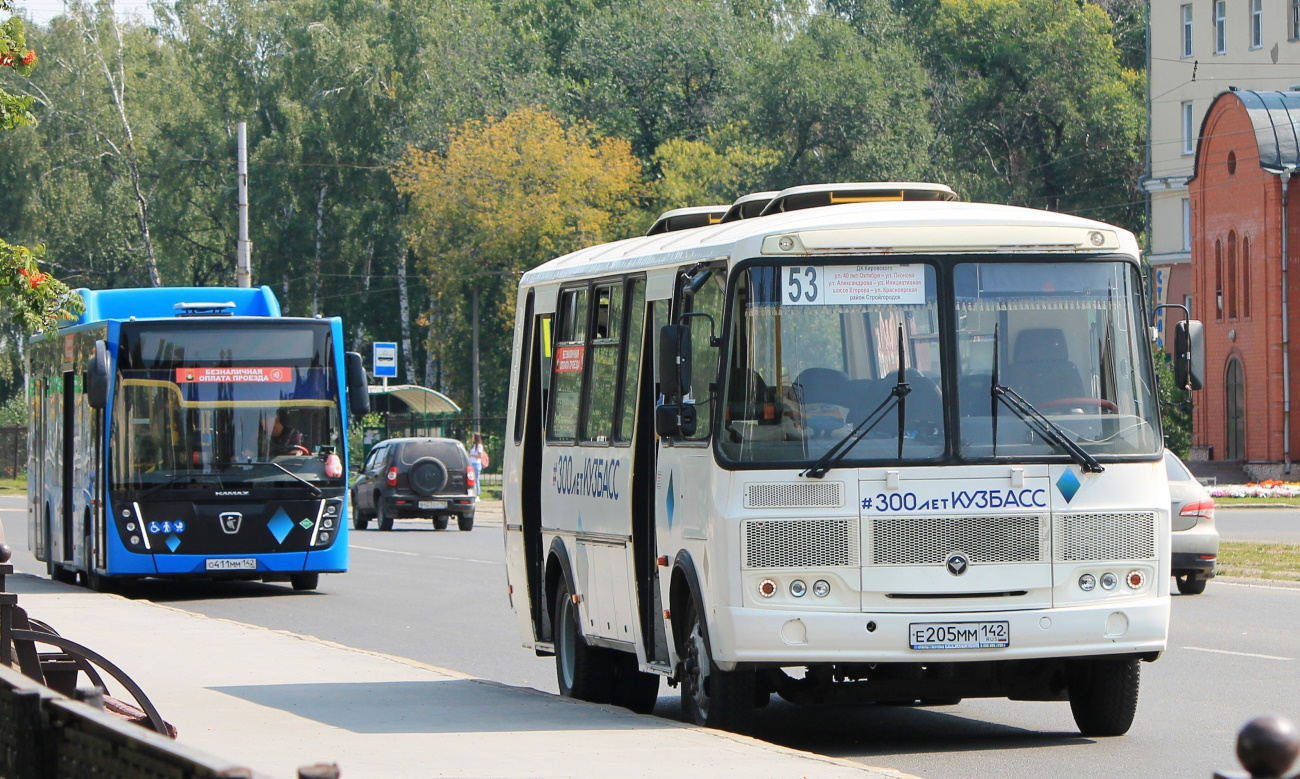 Кемеровская область - Кузбасс, ПАЗ-4234-05 № 337