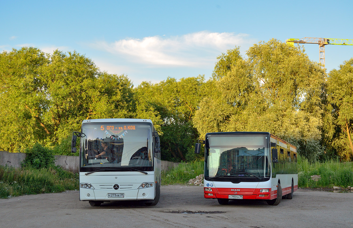 Kaliningrad region, Mercedes-Benz Intouro II # С 273 ОЕ 39; Kaliningrad region, MAN A21 Lion's City NL273 # С 390 МА 39