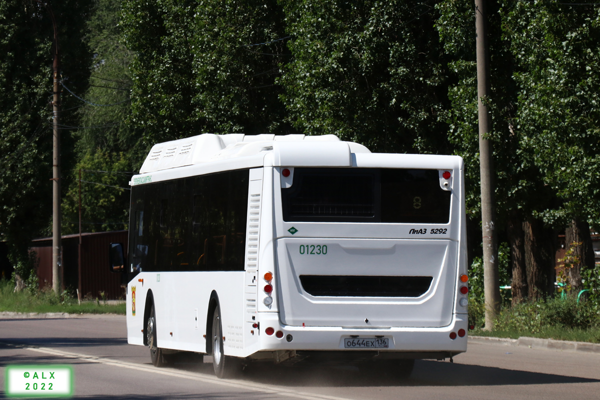 Voronezh region, LiAZ-5292.67 (CNG) # 01230