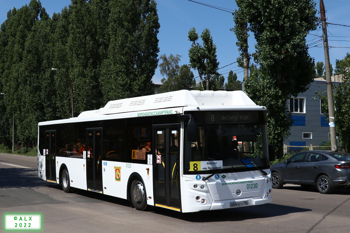 Воронежская область, ЛиАЗ-5292.67 (CNG) № 01230