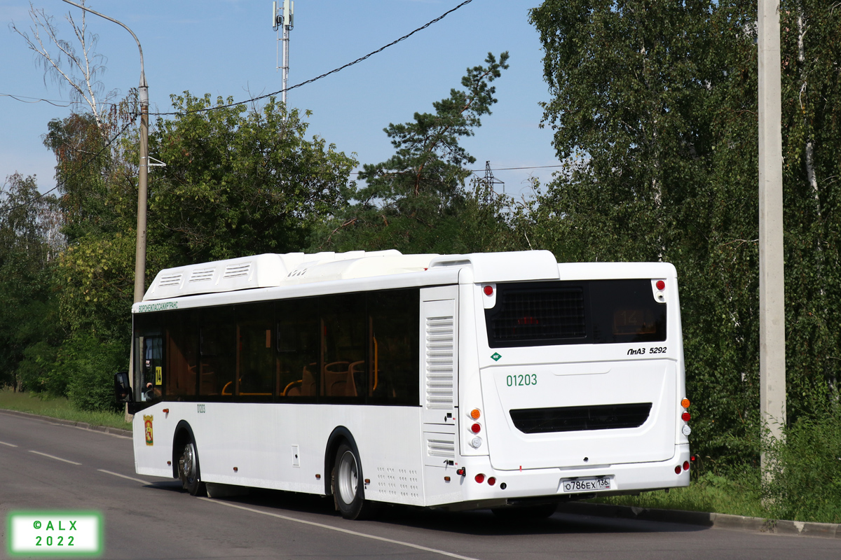 Воронежская область, ЛиАЗ-5292.67 (CNG) № 01203