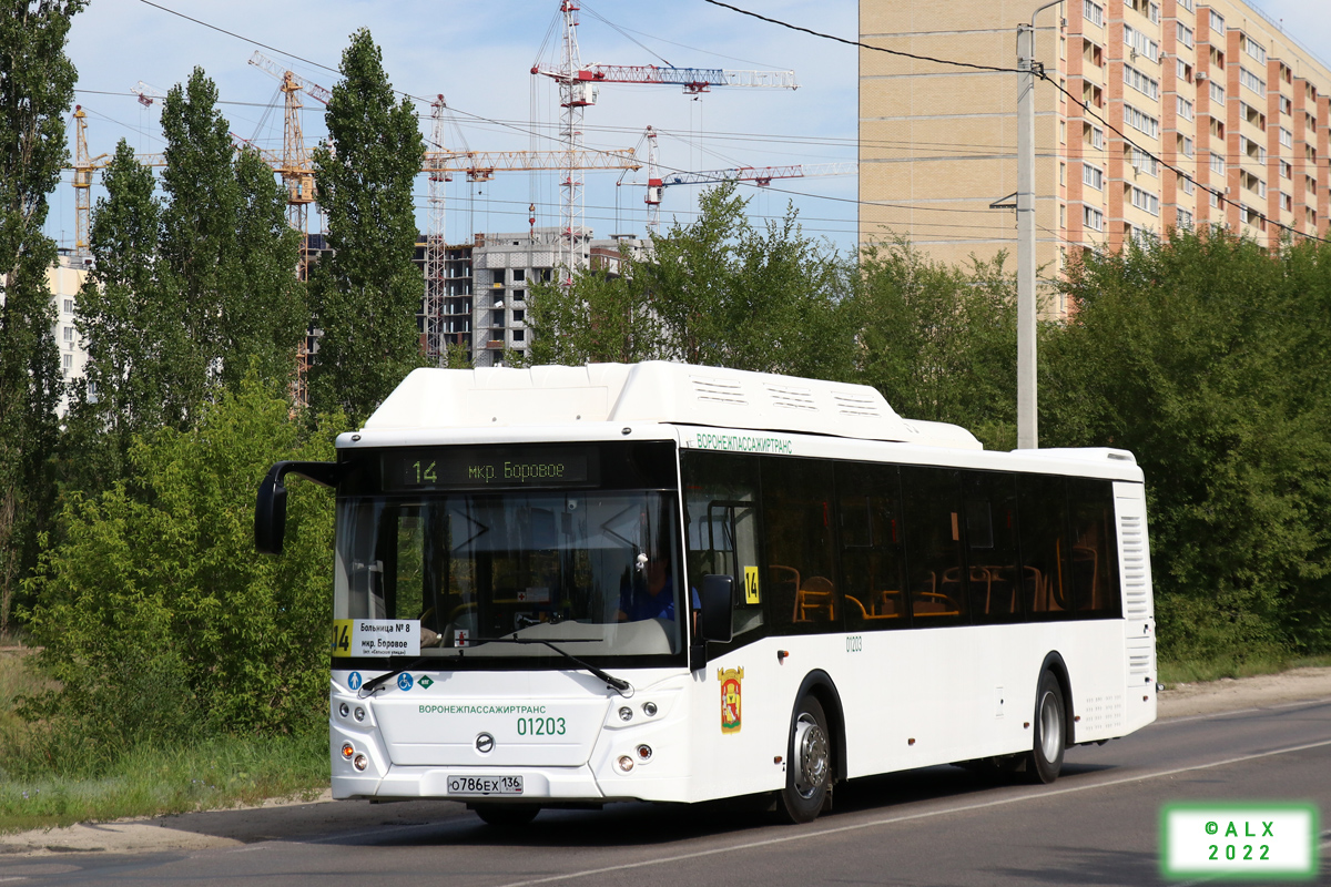 Воронежская область, ЛиАЗ-5292.67 (CNG) № 01203